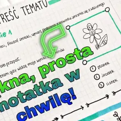 Jaki zeszyt do fizyki wybrać, aby uniknąć chaosu w notatkach?