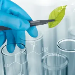 Po jakich studiach można uczyć biologii i uniknąć pułapek kariery?