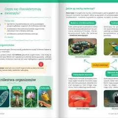Od której klasy jest biologia? Kluczowe informacje dla rodziców i uczniów