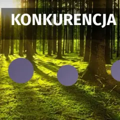 Konkurencja w biologii: jak organizmy rywalizują o przetrwanie