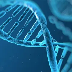 Biologia: Czym jest genetyka i jak wpływa na nasze życie?