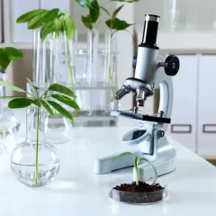 Biologia sądowa czy warto? Odkryj korzyści i perspektywy kariery