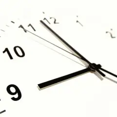 Ile trwa matura rozszerzona z biologii? Sprawdź, co musisz wiedzieć