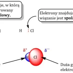 Co to jest dipol w chemii? Zrozumienie polarności i przykładów