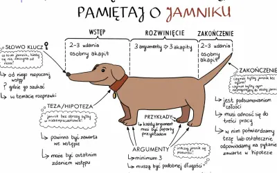 Ilustracja jamnika z opisem struktury rozprawki: wstęp, rozwinięcie, zakończenie.