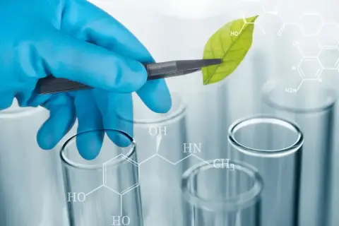 Po jakich studiach można uczyć biologii i uniknąć pułapek kariery?