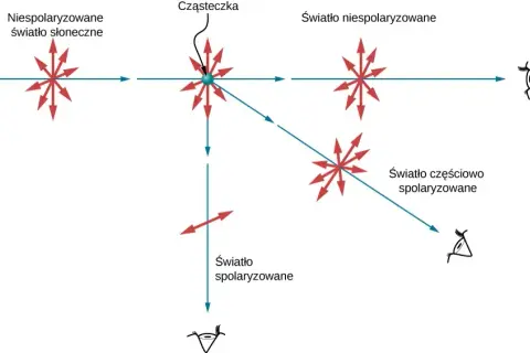 Polaryzacja w fizyce: co to jest i jak wpływa na światło?