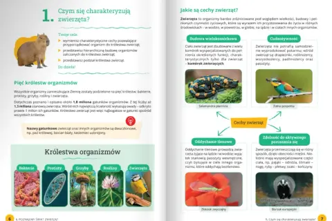 Od której klasy jest biologia? Kluczowe informacje dla rodziców i uczniów