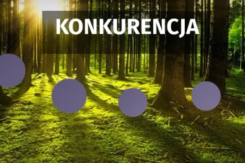 Konkurencja w biologii: jak organizmy rywalizują o przetrwanie
