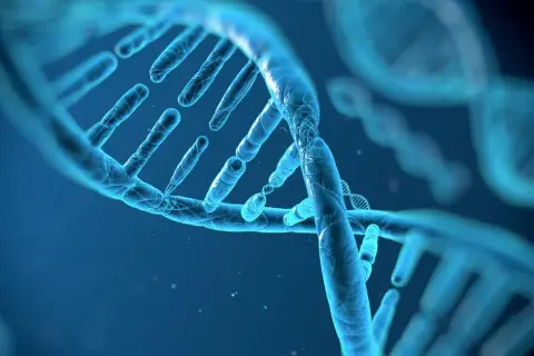 Biologia: Czym jest genetyka i jak wpływa na nasze życie?