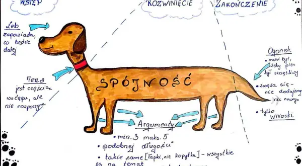 Ilustracja psa z etykietami: Wstęp, Rozwinięcie, Zakończenie, Spójność, Argumenty, Ogon.