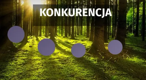 Konkurencja w biologii: jak organizmy rywalizują o przetrwanie