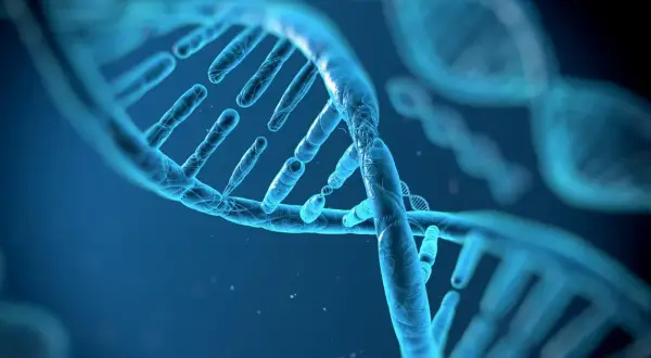 Biologia: Czym jest genetyka i jak wpływa na nasze życie?