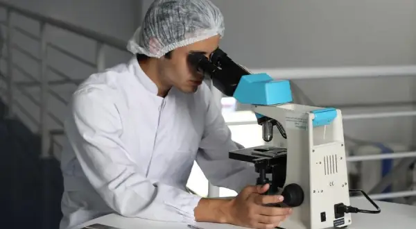 Jak zdać maturę z biologii - skuteczne strategie i porady na sukces