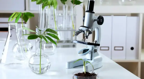 Biologia sądowa czy warto? Odkryj korzyści i perspektywy kariery