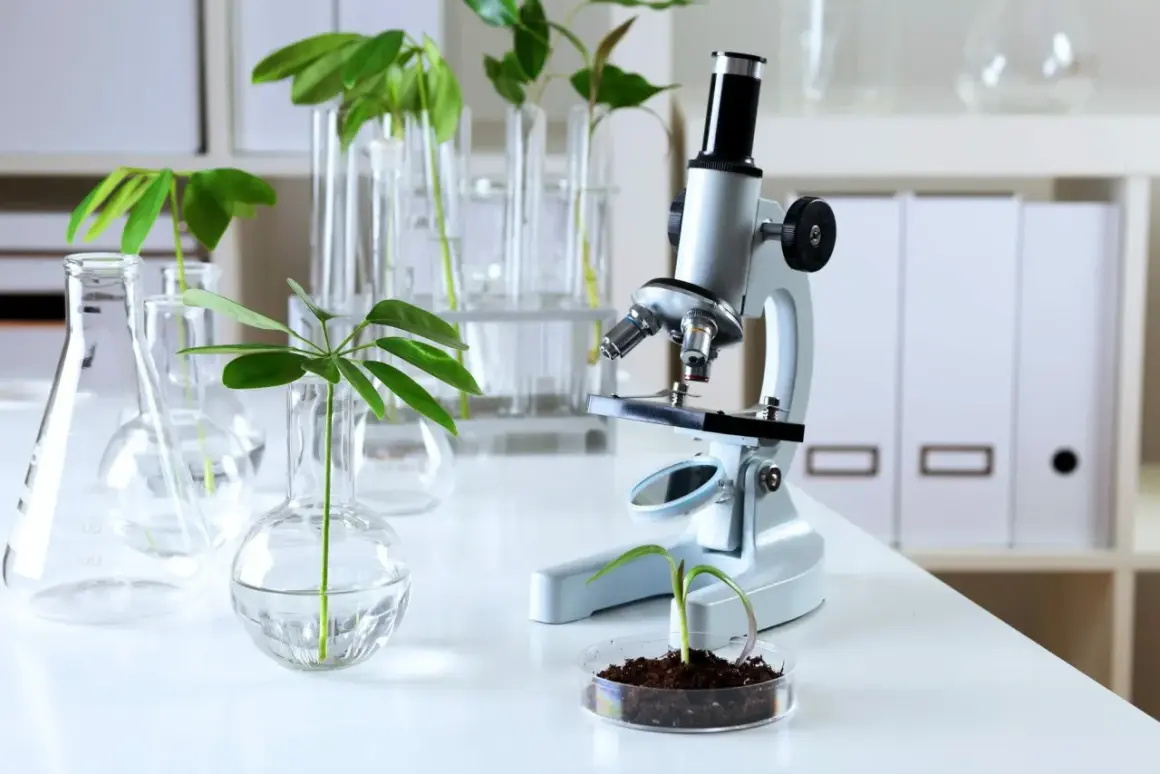 Biologia sądowa czy warto? Odkryj korzyści i perspektywy kariery
