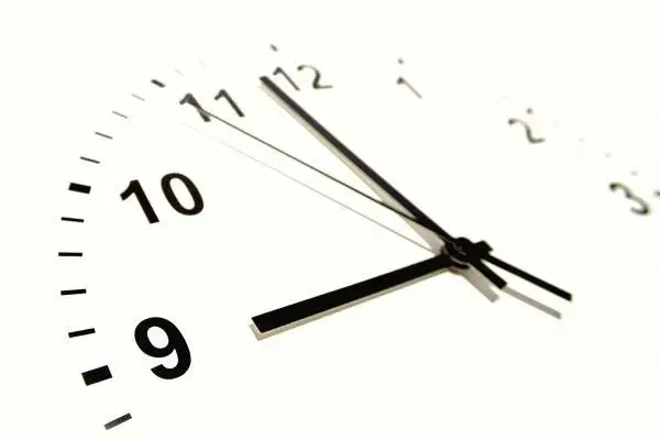Ile trwa matura rozszerzona z biologii? Sprawdź, co musisz wiedzieć