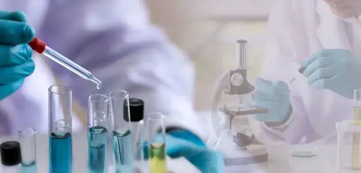 Zdjęcie Jakie studia po rozszerzonej biologii? Odkryj najlepsze kierunki!