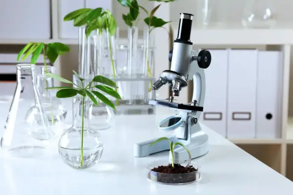 Biologia sądowa czy warto? Odkryj korzyści i perspektywy kariery