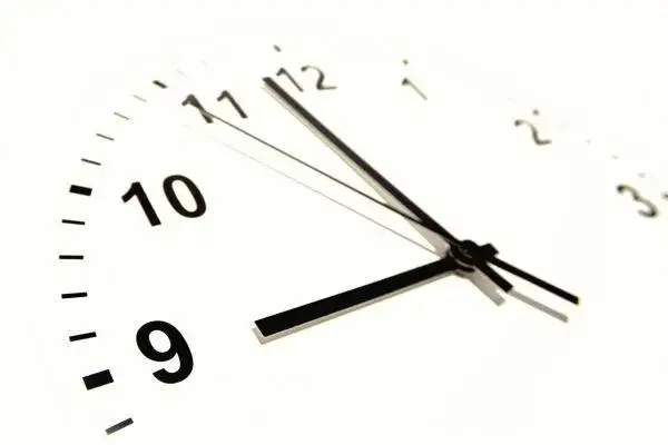 Ile trwa matura rozszerzona z biologii? Sprawdź, co musisz wiedzieć